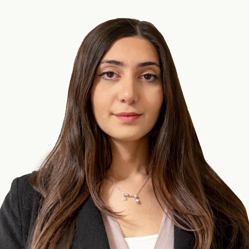Sara Torabi & Executive Fintech Team